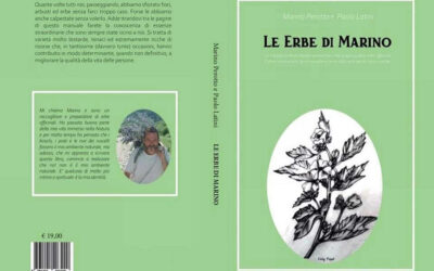 Le Erbe di Marino