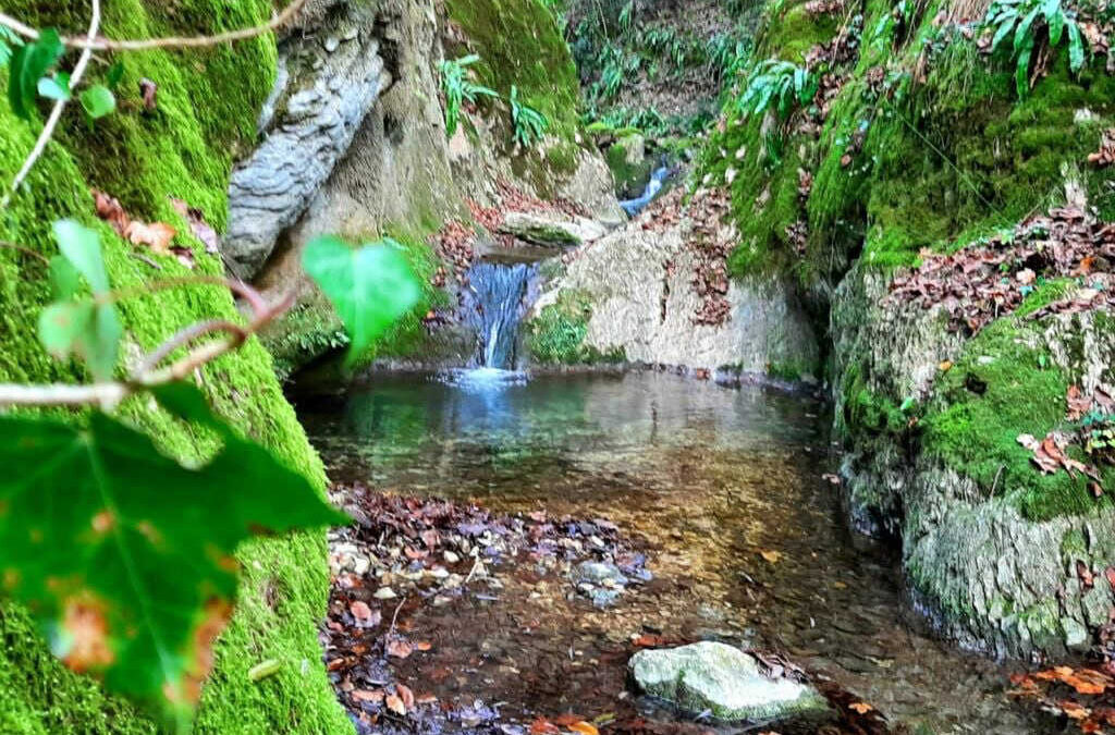 Bagni di Bosco