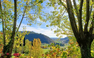 Alla ricerca dei primi fiori primaverili, tra i Gorghi scuri e le memorie storiche della valle