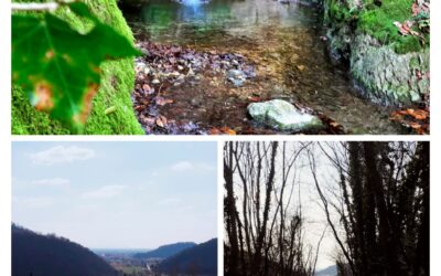 Alla ricerca dei primi fiori primaverili, tra i Gorghi scuri e le memorie storiche della valle