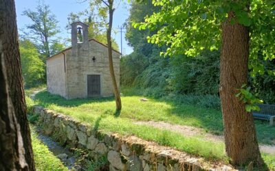 San Giorgio alle acque in Angarano. Nel giorno del santo cavaliere