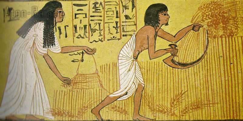 b_1024_768_0_10_images_stories_vita-quotidiana_tomba-di-Sennedjen-deir-el-medina-aratura