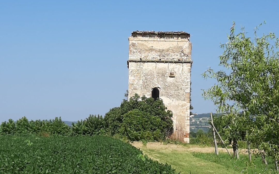 Camminate Storico Naturalistiche primavera 2024