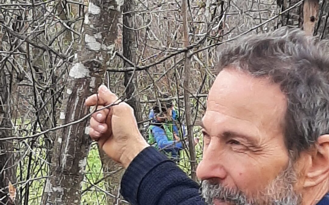 I mercoledì con Marino: conoscere le Erbe Officinali spontanee