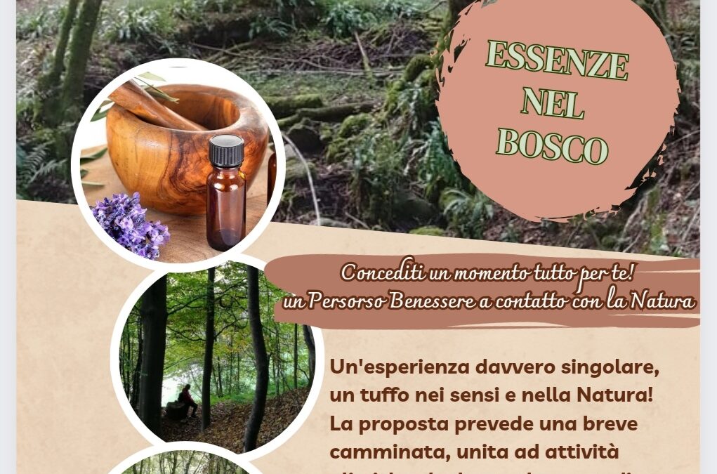 BAGNI DI BOSCO: essenze nel bosco