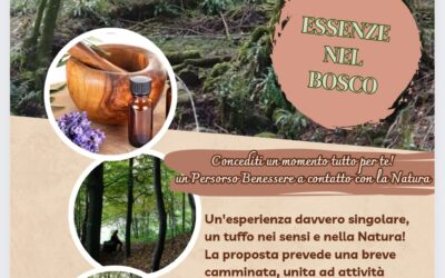 BAGNI DI BOSCO: essenze nel bosco