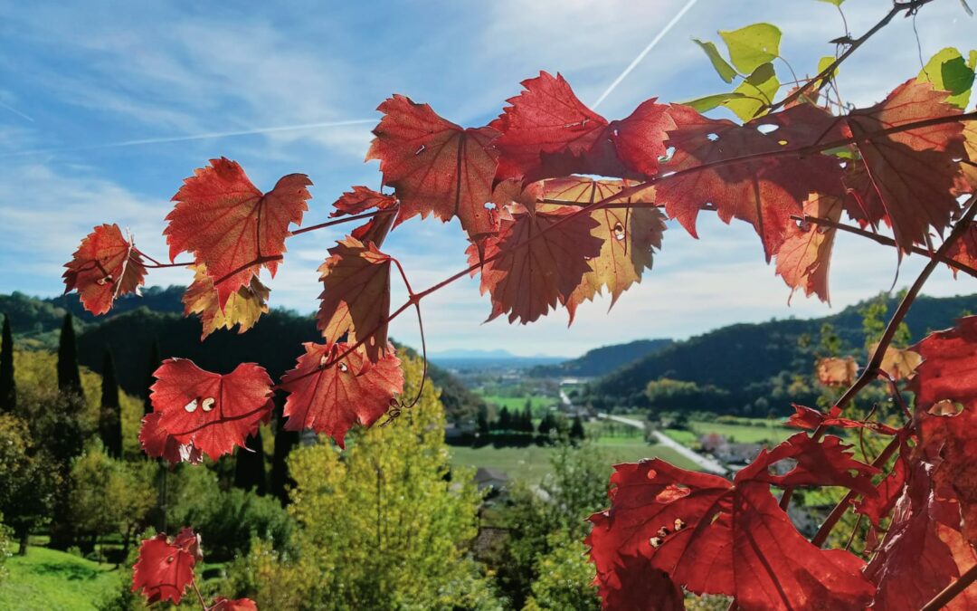 CAMMINATA D’AUTUNNO TRA VALLE SAN FLORIANO E MARSAN