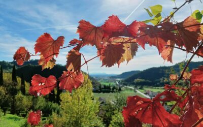 CAMMINATA D’AUTUNNO TRA VALLE SAN FLORIANO E MARSAN