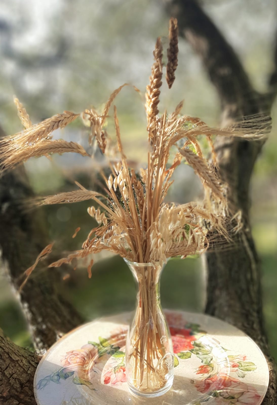 CHICCHI DI LUCE VASO SPIGHE