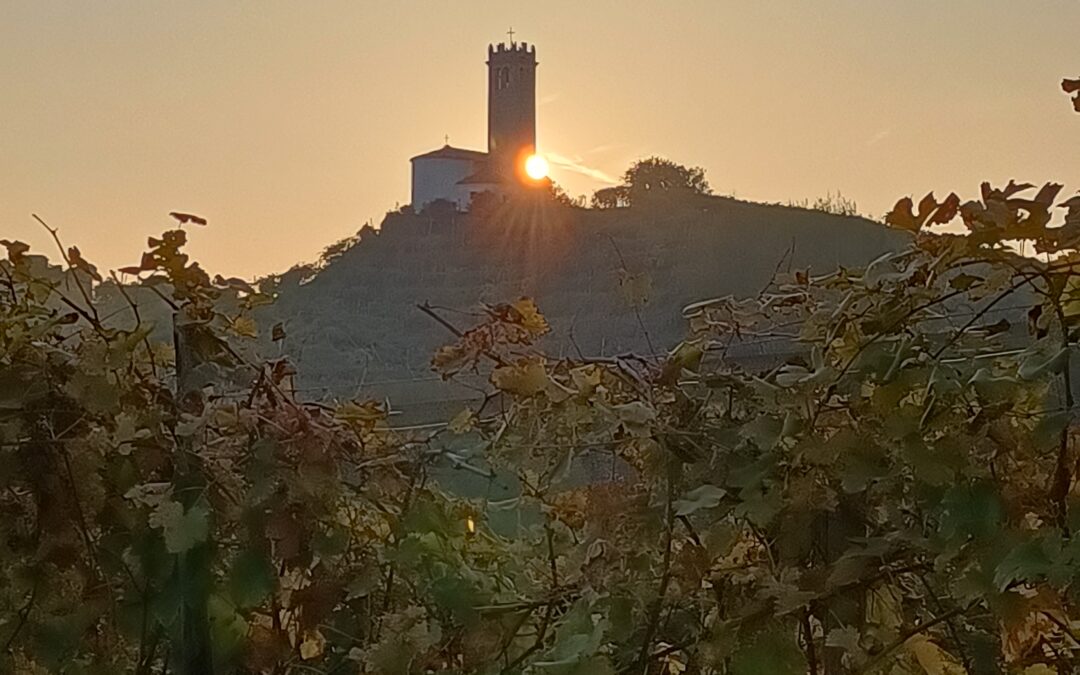 TRA LE VIGNE DEL PROSECCO STORICO A FARRA DI SOLIGO