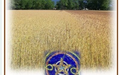 CHICCHI DI LUCE: gli eventi di Novembre.